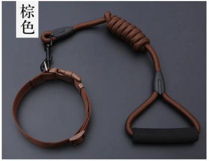 Small Puppy Pet Dog Collars Set Adjustable Buckle Leash Large Dogs Harness Chihuahua Walking Lead Leash Dog Pet Harness Vest