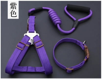 Small Puppy Pet Dog Collars Set Adjustable Buckle Leash Large Dogs Harness Chihuahua Walking Lead Leash Dog Pet Harness Vest