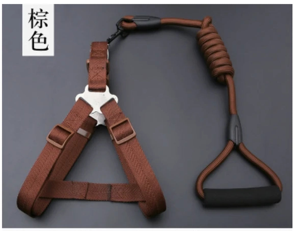 Small Puppy Pet Dog Collars Set Adjustable Buckle Leash Large Dogs Harness Chihuahua Walking Lead Leash Dog Pet Harness Vest