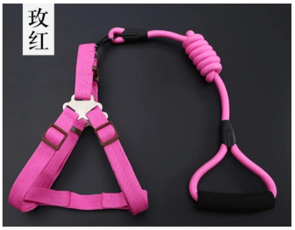 Small Puppy Pet Dog Collars Set Adjustable Buckle Leash Large Dogs Harness Chihuahua Walking Lead Leash Dog Pet Harness Vest