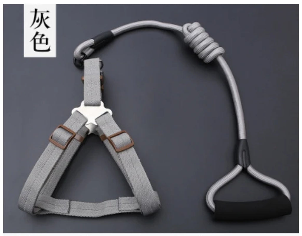 Small Puppy Pet Dog Collars Set Adjustable Buckle Leash Large Dogs Harness Chihuahua Walking Lead Leash Dog Pet Harness Vest