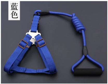 Small Puppy Pet Dog Collars Set Adjustable Buckle Leash Large Dogs Harness Chihuahua Walking Lead Leash Dog Pet Harness Vest