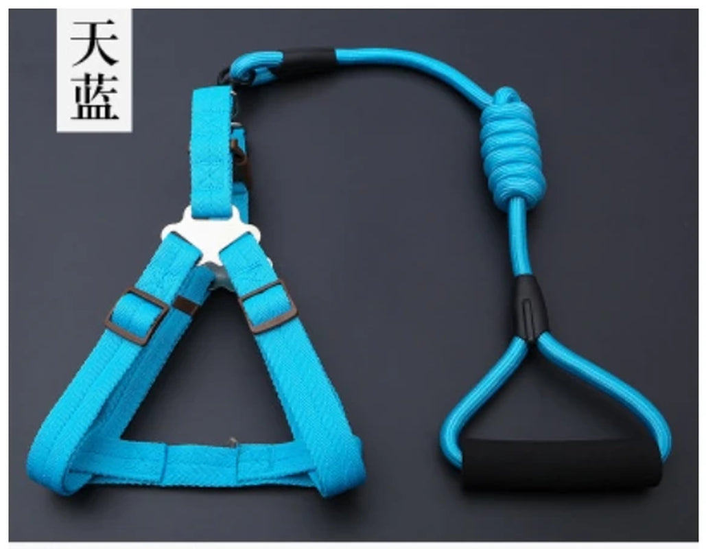 Small Puppy Pet Dog Collars Set Adjustable Buckle Leash Large Dogs Harness Chihuahua Walking Lead Leash Dog Pet Harness Vest