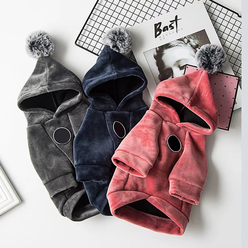 Winter Warm Cat Dog Hooded Coat Soft Pet Clothes for Small Dogs Cats Yorkshire Chihuahua Pullovers Pets Clothing Manteau Chien