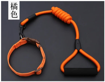 Small Puppy Pet Dog Collars Set Adjustable Buckle Leash Large Dogs Harness Chihuahua Walking Lead Leash Dog Pet Harness Vest